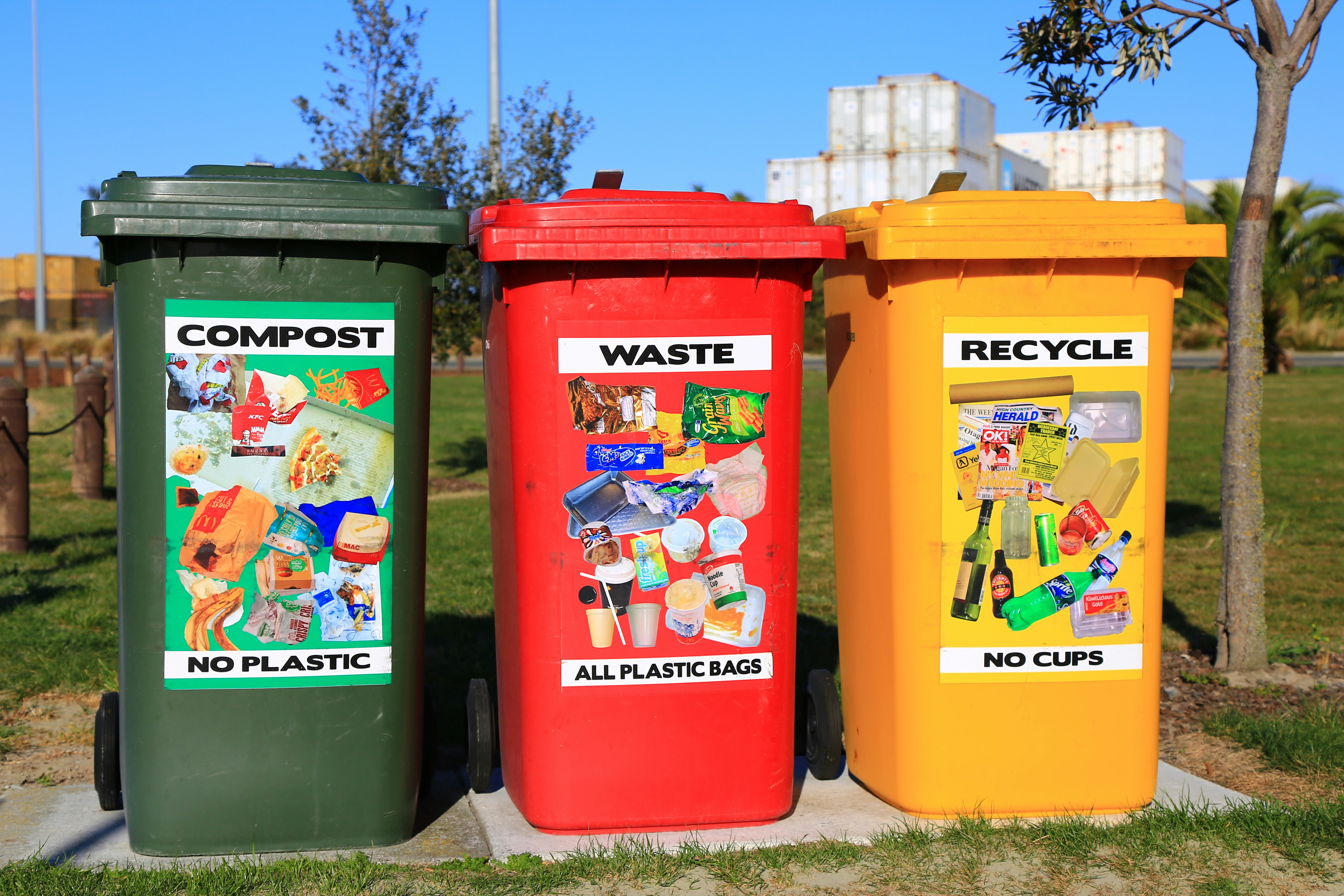 Compostable vs biodegradable: what the label actually means.